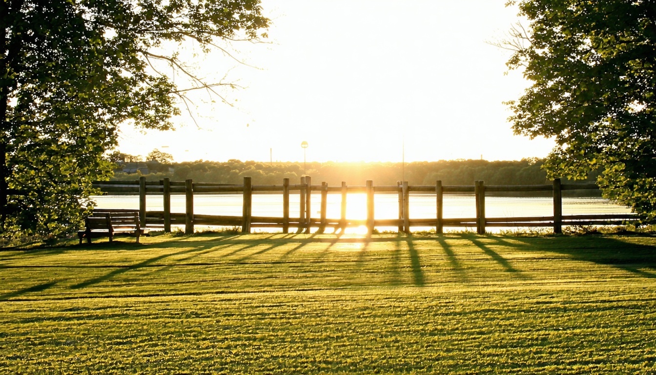 Sunshine Tours USA logo